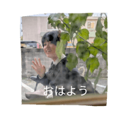 843452531