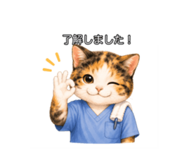 843452911