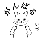 843453001