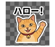 843453217