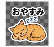 843453218