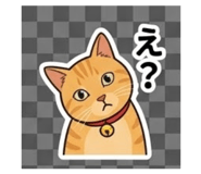 843453219
