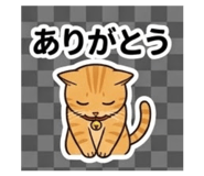 843453221