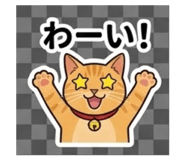 843453223