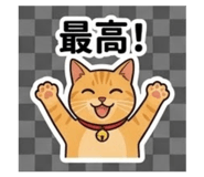843453224