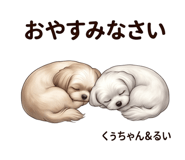 843456950