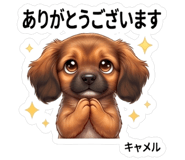 843457155