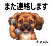 843457172