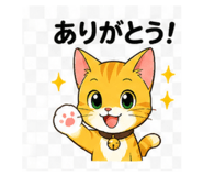 843457242