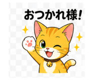 843457243