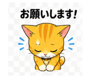 843457248