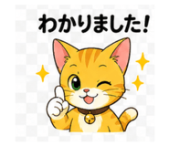 843457251