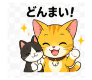 843457257