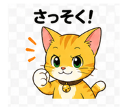 843457258