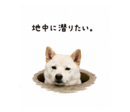 843457302