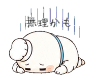 843457662