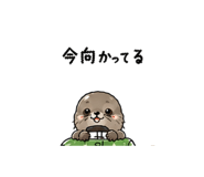 843458250