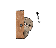 843458251