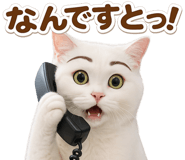 843458351