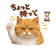 843458904
