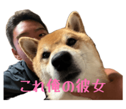 843462646