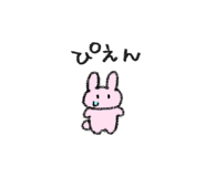 843462804