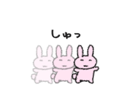 843462806