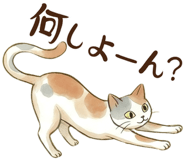 843463385