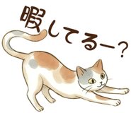 843463386