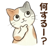 843463394