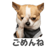 843463603