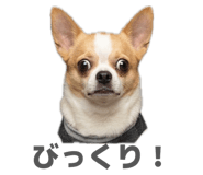 843463608