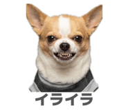 843463611