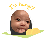 843464262