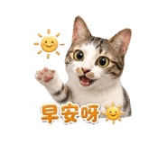 843464417