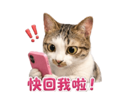 843464421