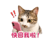 843464421