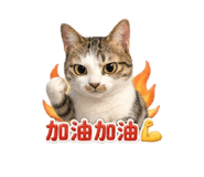 843464426
