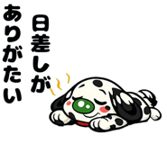 843464643