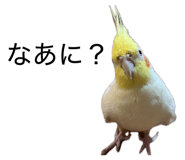 843465500
