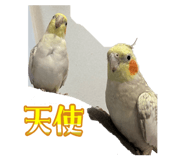 843465503