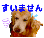843465777