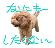 843466043