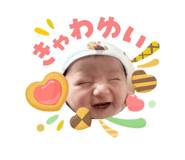 843466266