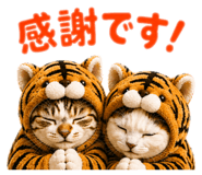843466370