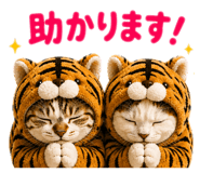 843466373