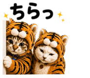 843466378