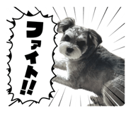 843466469