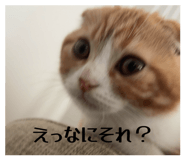 843466569