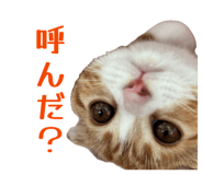 843466572